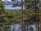 koli-berge-pielinen