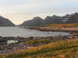 mitternachtssonne-lofoten-ramberg-5